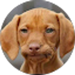 Profile photo of Boone Rostad