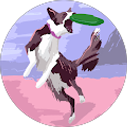 Profile photo of TRACY Anderson