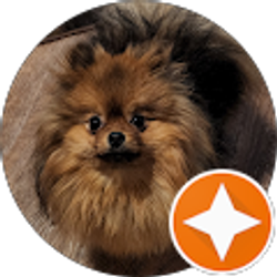 Profile photo of Cindy