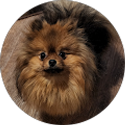 Profile photo of Cindy