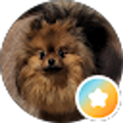 Profile photo of Cindy
