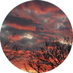 Profile photo of Mary Jones