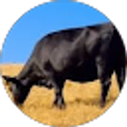 Profile photo of Carrie Lay