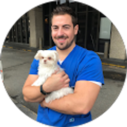 Profile photo of Nick Michaels