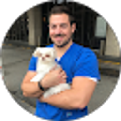 Profile photo of Nick Michaels