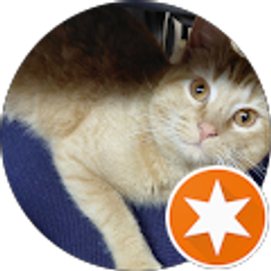 Profile photo of Deborah Young