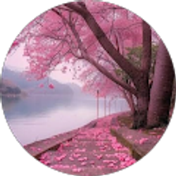 Profile photo of Debbie Benavides