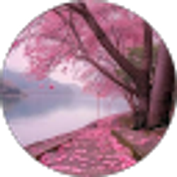 Profile photo of Debbie Benavides