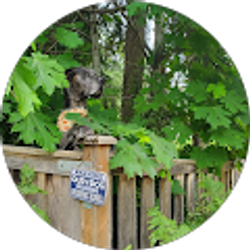 Profile photo of Deborah Hunstad