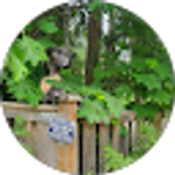 Profile photo of Deborah Hunstad