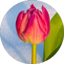 Profile photo of Kay