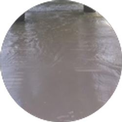 Profile photo of Timothy Burris