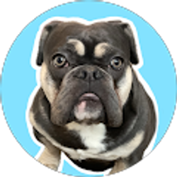 Profile photo of Ryan Phelan