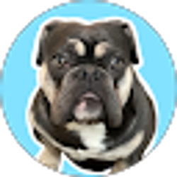 Profile photo of Ryan Phelan