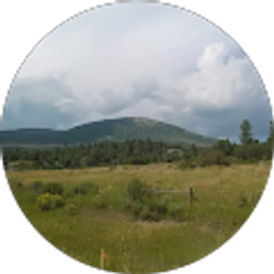 Profile photo of Andrew Mecimore