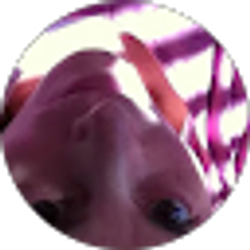 Profile photo of Heidi Ross