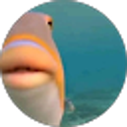 Profile photo of Nikola Stalev