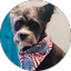 Profile photo of Nancy Appleby