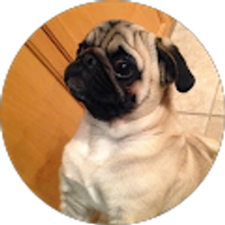 Profile photo of k9stellen2003