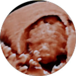 Profile photo of Jordan Paulson