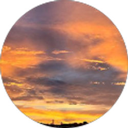 Profile photo of Jordan Manuele