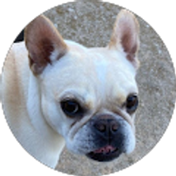 Profile photo of Cassi Pearson