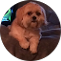 Profile photo of Helene Stovall