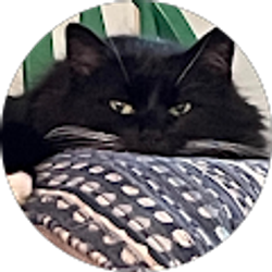 Profile photo of Emma Crocker