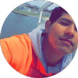 Profile photo of The Hulk