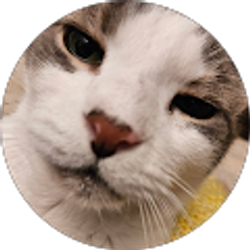 Profile photo of Jane Halasz