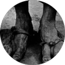 Profile photo of derrick crocker