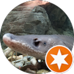 Profile photo of Sturgeon Hunter