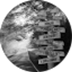 Profile photo of Diane Romero