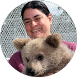 Profile photo of Suzanne Wakim