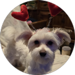 Profile photo of Lori Lovell