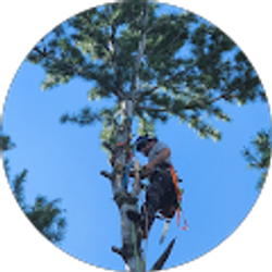 Profile photo of Ryan Valesh