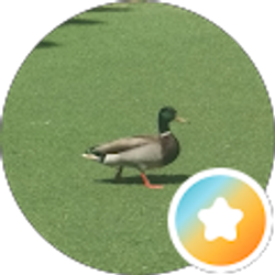 Profile photo of B Richard