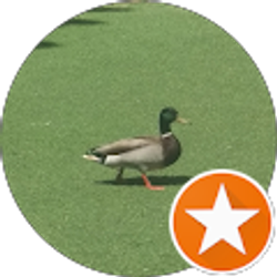 Profile photo of B Richard