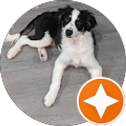 Profile photo of Don Ralston