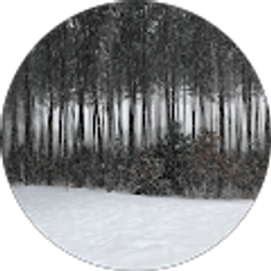 Profile photo of Boris Robles-Slyusar