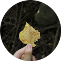 Profile photo of Annika Leys