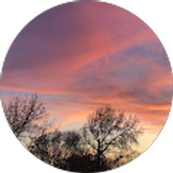 Profile photo of Judith Navarro