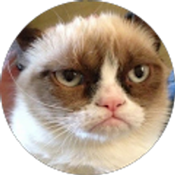 Profile photo of Sergei Polskiy