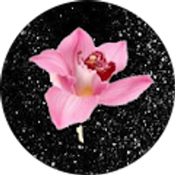 Profile photo of Just Existing