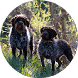 Profile photo of Anthony Newton