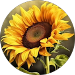 Profile photo of Charise Briggs