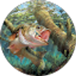Profile photo of Bohlzy