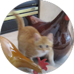 Profile photo of Maria Wright