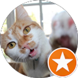 Profile photo of Ron Maur'er