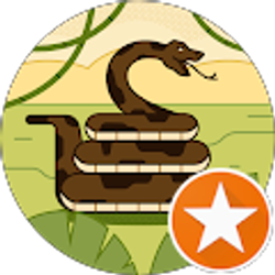 Profile photo of Hussein Dakhlallah